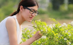 宠物小精灵世界之旅攻略